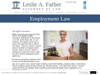 Employment Law | Law Office of Leslie A. Farber | United States