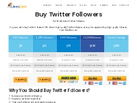 Buy Twitter Followers - Get Real   Active Followers Cheap