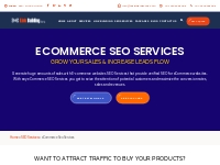 SEO for eCommerce, eCommerce SEO Services India USA UK Australia