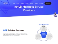 NetLD Managed Service Providers - LogicVein - Net LineDancer - Network