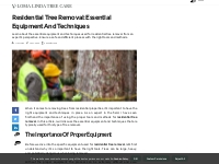 Residential Tree Removal: Essential Equipment and Techniques