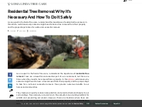 Residential Tree Removal: Why It's Necessary and How to Do It Safely