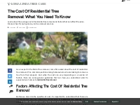 The Cost of Residential Tree Removal: What You Need to Know