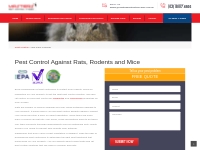 Rodent Pest Control - Mice, Rats, Rodents | On-Call Exterminators