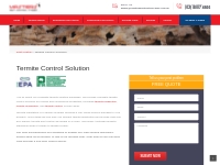 Termite Solution | Call 8007 4666 | Masters Pest Control Sydney