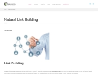 Link building Services