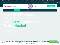 Stem Cell Therapy in India | Treatment Cost, Success Rates