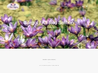 Sargol Saffron / All-Red Saffron, Organic, Pure   Premium Saffron Qual