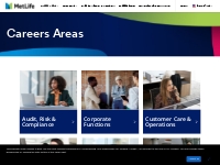          Career Areas