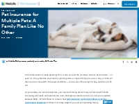 Guide to Pet Insurance for Multiple Pets | MetLife Pet Insurance