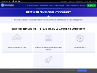 Best Web Development Company in india, Website Development Services