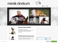 MİNİK DOSTUM - Hayvanseverlere özel paylaşım ve bilgi sitesi