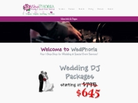 Wedding DJ in Minnesota Minneapolis Wedding DJ Mn Pro DJ