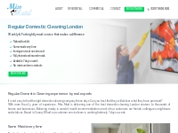 Domestic Cleaning London | Maid Service London | Domestic Cleaners