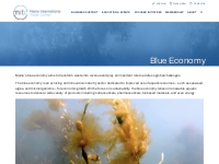 Blue Economy - Maine International Trade Center