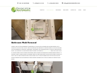 Bathroom Mold Removal - Eradicator Mold Remediation Services
