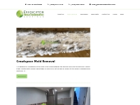 Eradicator Mold Removal - Mold Services