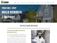            Mold Squad | Mold and Asbestos Removal   Remediation | Calg