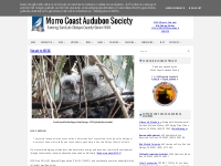Donate to MCAS ~ Morro Coast Audubon Society