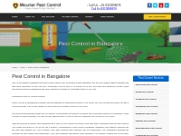 Pest Control in Bangalore,Pest Control Services in Bangalore