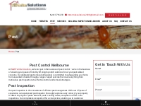 Pest Inspection   Control Greensborough, Termite Solutions Melbourne