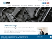 Detection Dogs | Bomb Dogs | Firearm Detection Dogs - MSA