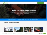 Tree Surgeon Glasgow: Tree Stump Removal Glasgow