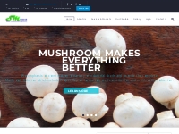 Mushroom Machines | Mushroom Machinery – Manufacturing India