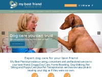 Doggy Day Care Home Boarding Dog Walking Pet Sitting   More