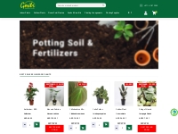 Best Online Plant Shop in Dubai | Plant Shop UAE | Plant Shop Abudhabi