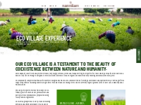 Eco Village Experience - Nannilam