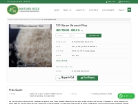1121 Steam Basmati Rice Exporters from Mauritius - Nature Rice