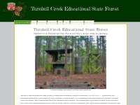 Turnbull Creek Educational State Forest