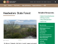 NCFS- Headwaters State Forest