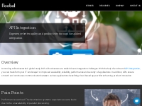 API Integration Services | Neebal Technologies