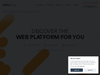 Web Platforms | Web Development | Netbiz Group