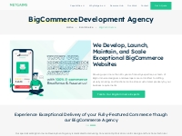 BigCommerce Store Development   Optimisation Services - Netgains