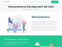 Wordpress Woocommerce Theme Development Company - NetGains