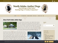 About North Idaho Antler Dogs   North Idaho Shed Antler Dogs | Trained
