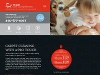 Tulip Carpet Cleaning North Miami | Professional Cleaning Service