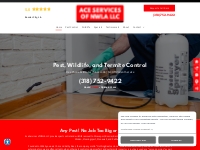            Pest Control | Ace Services of NWLA LLC | Bossier City, LA