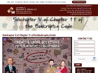 Long Island Subchapter V Lawyer and Subchapter V Attorney | #site_titl