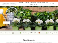 Online Plants - Australian Plants Online, Plant Nursery Melbourne