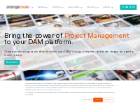 Orange Workflows Project Management Software | DAM