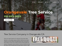 Tree Company | Tree Specialist | Orangevale, CA