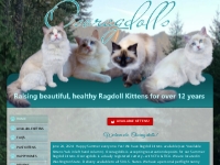 TICA Registered Ragdoll Kittens for Sale Osoragdolls WA