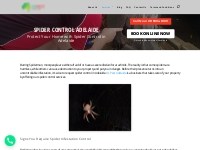 Spider Control Adelaide | Spider Removal Services Adelaide - OZ