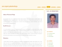 SEO Services India | SEO Professional Chennai | Web Promotion India