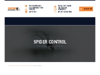 Expert Spider Control | Panther Pest Control