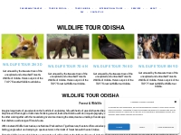 WILDLIFE TOUR ODISHA : Parikrama Travels Arrange WildLife